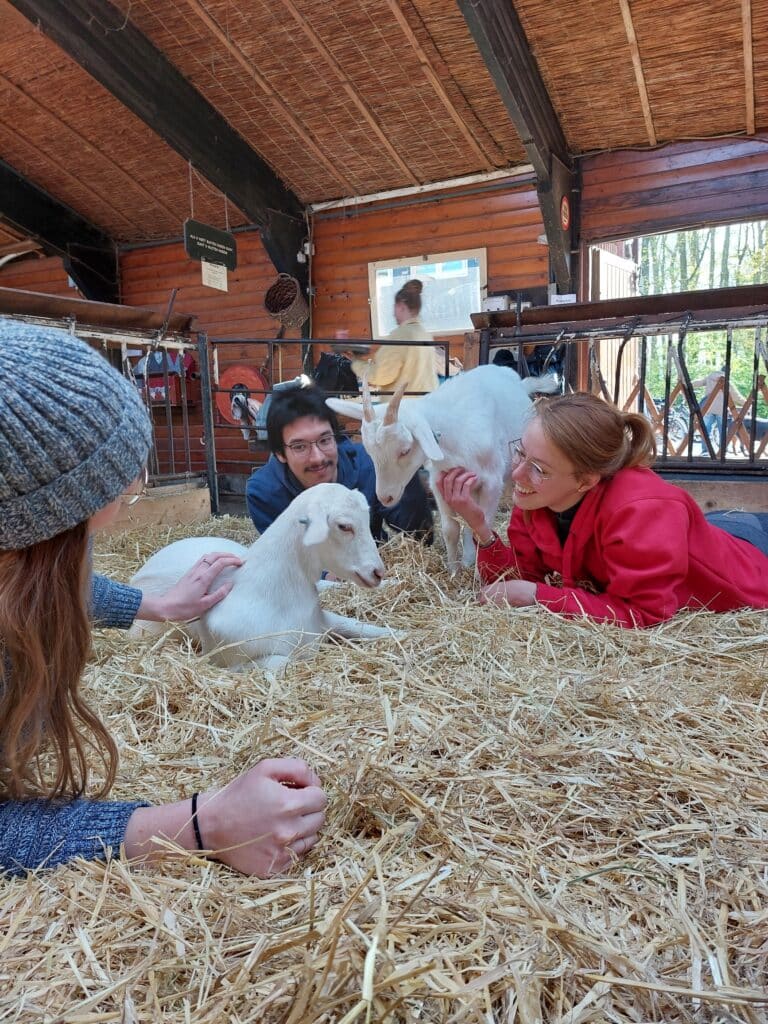 Mylene recruiter Samenvijf geitenboerderij